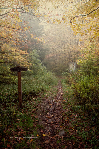 autumn mist fall texture nature fog forest landscape outdoors trail barbara westvirginia processing wilderness appalachia pathway 2012 canaanvalley dollysods randolphcounty nikond90 kimklassen onethousandgifts beyondlayers