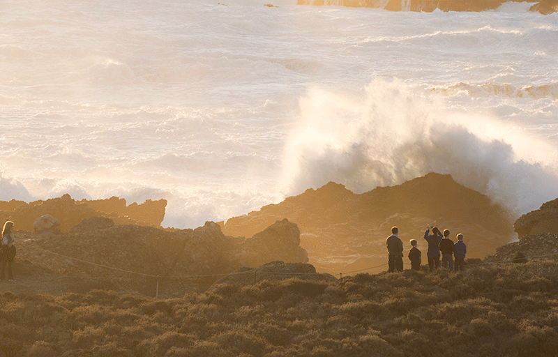 Point Lobos Wave Watchers [GIF]