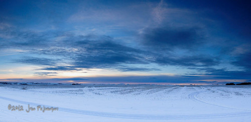 winter sunset snow canada ecology weather evening seasons sundown alberta environment carstairs agriculture wintertime environmentalism ecosystem croplands agriculturallands