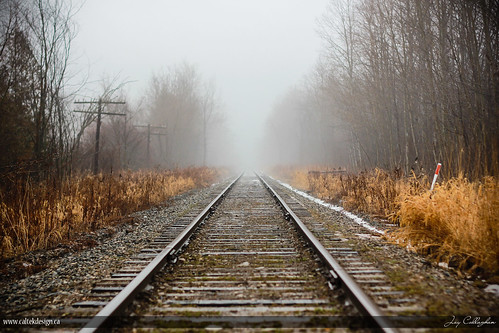 winter fog train landscape january tracks rail railway
