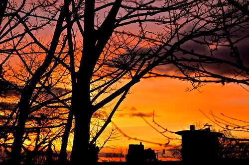 trees sunset landscape nikon rooftops derbyshire chimneys belper sihouettes chimey d3200