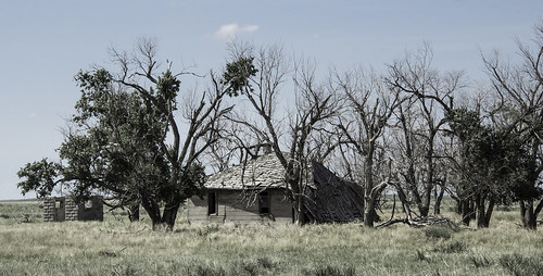 abandonedhouse outbuilding deterioration deadtrees cloud pasture horizon brokenroof weathered neglect collapse