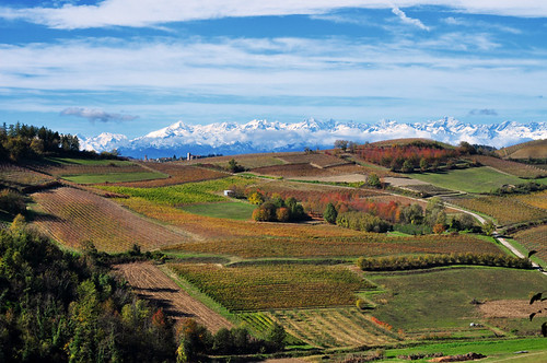 november autumn italy fall countryside vineyard italia novembre hill foliage piemonte pino autunno piedmont vigne colline monferrato dasti