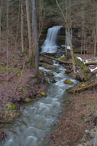 waterfall highwater fallentree bucktailfalls spaffordvalley