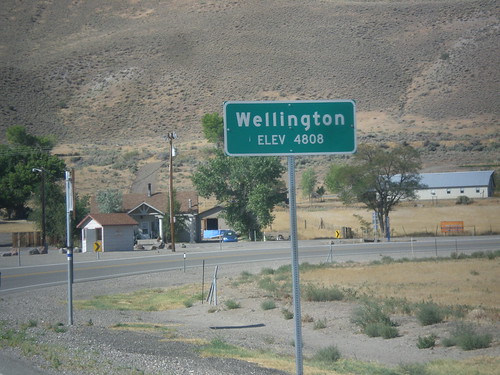 biggreensign welcomesign sign nevada wellington nv208