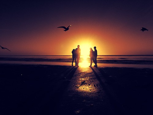 ocean galveston beach sunrise seagull silhouettes solstice wintersolstice ddy 61ststreetfishingpier