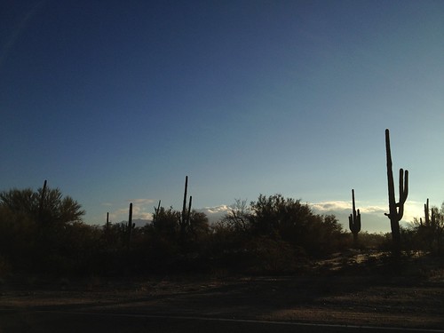arizona cactus sky nature clouds tucson az