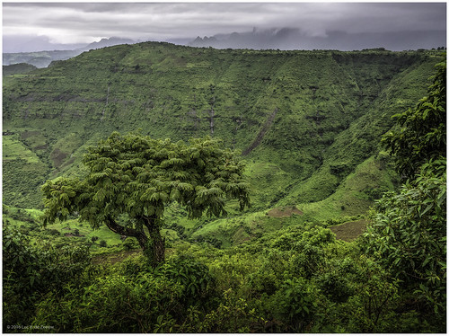 cloudy ethiopia ethiopian landscape mountain trees northgondar amhara