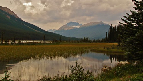 park travel trees sky canada mountains reflection green nature water grass rock clouds forest canon landscapes nationalpark scenery view country peaceful powershot glacier alberta daytime tranquil jaspernationalpark canadianrockies nationalscenicbyway waltphotos lordwalt sx30is