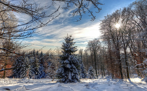 christmas blue winter light sky panorama favorite sun white mountain snow cold color tree art ice nature clouds forest silver landscape golden countryside nikon flickr day outdoor country best master elite recreation relaxation hdr d800 excellence fav10 fav25