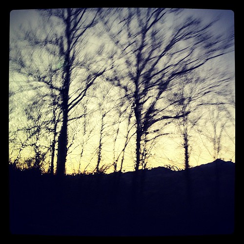 trees sunset bus forest roadtrip iphoneography uploaded:by=flickstagram instagram:photo=471806692225490 instagram:venue_name=santjoandelesabadesses instagram:venue=802693