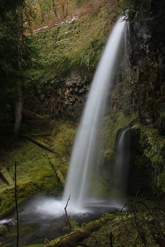 green nature water beauty oregon creek outdoors waterfall scenery hiking emerald estacada clackamas