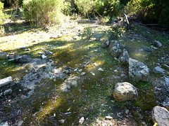 Ancienne bergerie de Sainte-Lucie : ruines probables de la bergerie