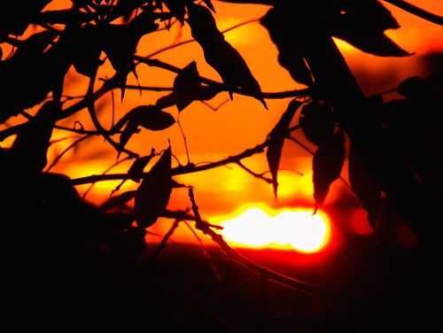 sunset silhouette photographyforrecreation