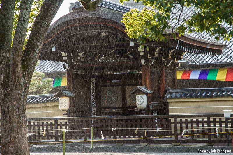 Salón Kodo bajo la lluvia