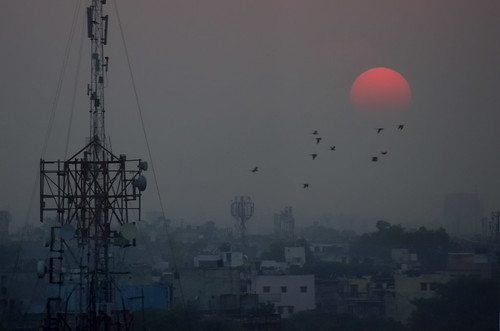 city houses sunset urban sun india house birds skyline hotel smog haze cityscape dusk delhi flock communication hazy antenna parakeets newdelhi antennas suryaa