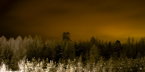 trees winter sky snow norway night forest dark norge vinter europa frost norwegen himmel explore skog gardermoen snø trær kaldt mørkt digitalcameraclub explored mørket scaninavia mørkebilder