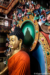 Golden Buddha at Tawang Gompa