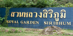2012-11-23 Thailand Day 05, Royal Garden Siribhum, Doi Inthanon National Park