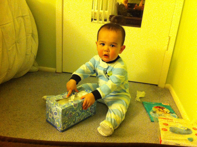 Playing with the Kleenex box