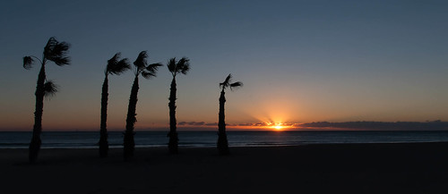 sol azul sunrise mar playa palmeras alicante amanecer naranja juanlopez playasanjuan