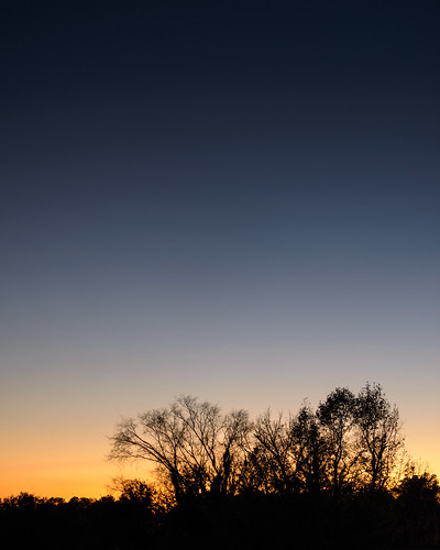 winter sunset tree silhouette backlight twilight woods unitedstates florida branches unitedstatesofamerica gainesville nikkor stoneridge josegarrido nikond800 nikkorafs50mmf18g