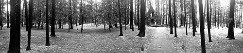 trees panorama white black abandoned ruins path photostream iphone4s