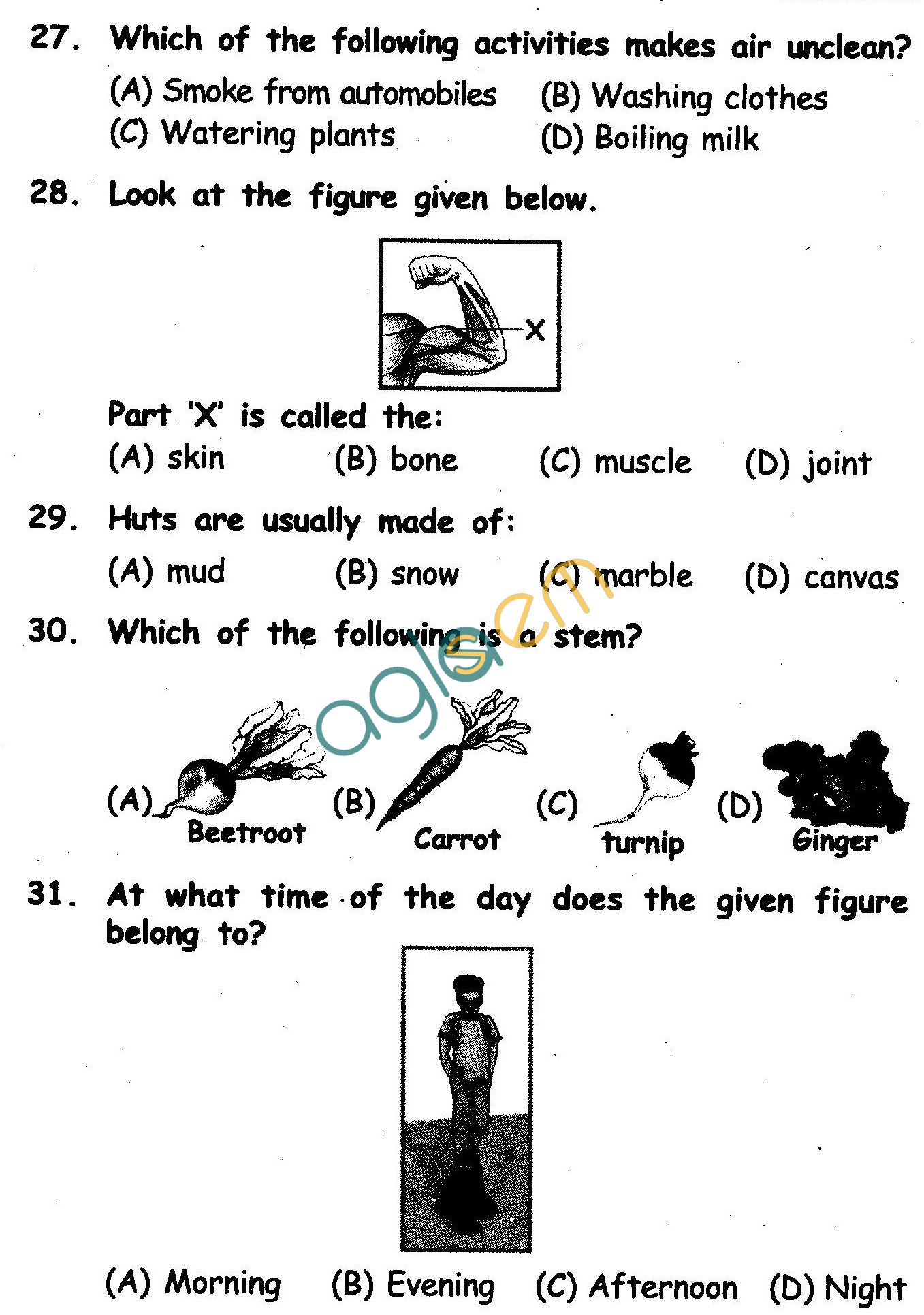 NSTSE 2011 Class II Question Paper with Answers - Science