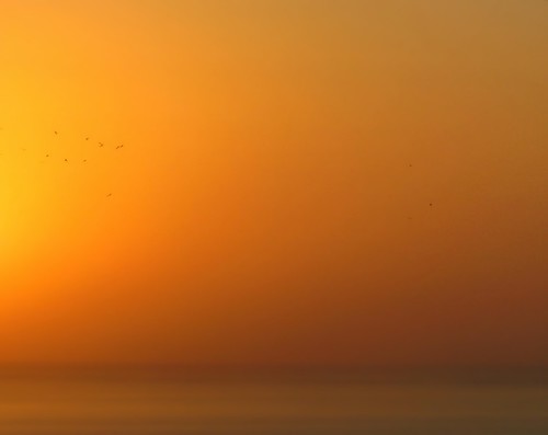 ocean city morning light sky orange beach nature colors birds sunrise flickr pacific outdoor horizon panama