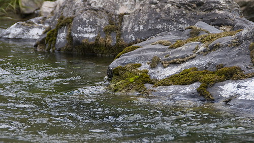 newzealand water pool canon river landscape canterbury rockformations ashleyriver ashleygorge