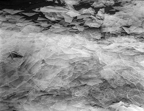 winter blackandwhite bw lake cold film ice zeiss mediumformat hungary kodak negative 6x9 zeissikon balaton trix400 kodaktrix400 nettar zeissikonnettar515 nettar515