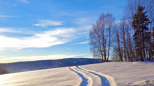 trees winter snow norway rural landscape norge europe tracks scandinavia lier østlandet tranby buskerud