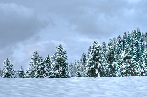trees sunset white snow clouds schweiz switzerland day top hill bern langnau dorfberg langnauie pwwinter