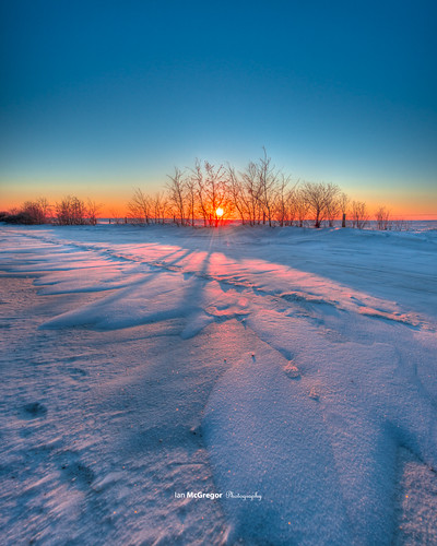 morning trees winter snow canada beautiful beauty sunrise landscape ian dawn nikon 8x10 saskatchewan d800 mcgregor 32c yorkton