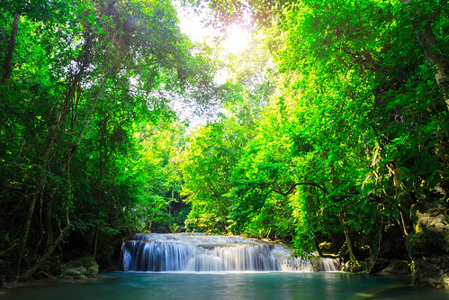 park wood travel blue wild vacation plant motion tree green fall nature wet water pool beautiful beauty rock stone forest wonderful river landscape thailand happy waterfall leaf spring cool asia stream vibrant background happiness down scene fresh growth exotic jungle tropical environment flowing lovely splash cascade element kanchanaburi freshness purity