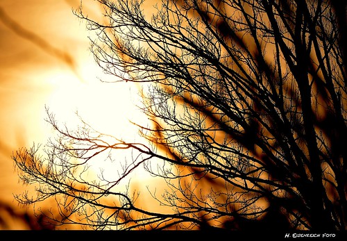 new sunset orange sun tree silhouette hope gold nikon ast sonnenuntergang branches year hans äste twigs sonne baum 2012 zweige hoffnung 2013 schmidmühlen eisenreich mygearandme