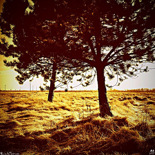 nature michigan grandrapids iphone blogrodent richtatum puremichigan iphoneography uploaded:by=flickrmobile flickriosapp:filter=nofilter