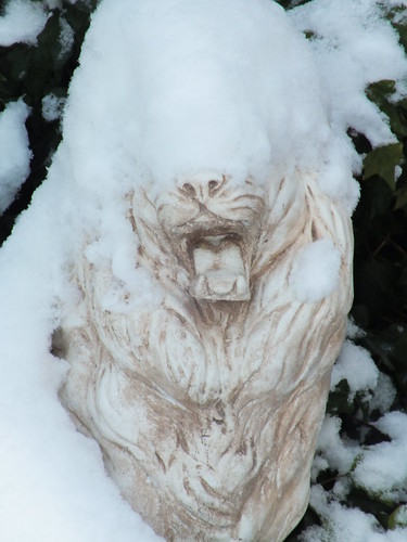Snow Blind Lion