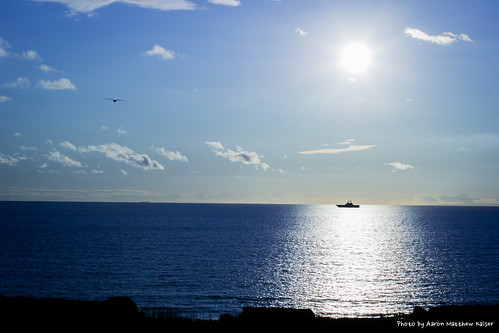 ocean blue sunset sun reflection bird beach water silhouette clouds nikon ship seagull military navy sanonofre d3100