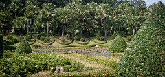 2012-11-25 Thailand Day 07, Royal Flora Ratchaphruek, Chiang Mai