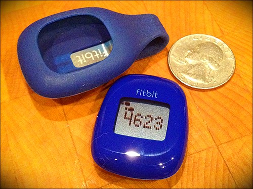 Fitbit zip...smaller than I thought