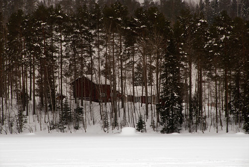 winter snow landscape sweden västernorrland skedvik