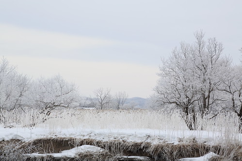 morning snow cold river landscape scenery quiet freezing 北海道 曇 静寂 釧路川