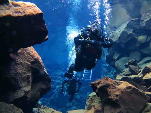Wedged Between the Tectonic Plates: Snorkeling Under the Midnight Sun