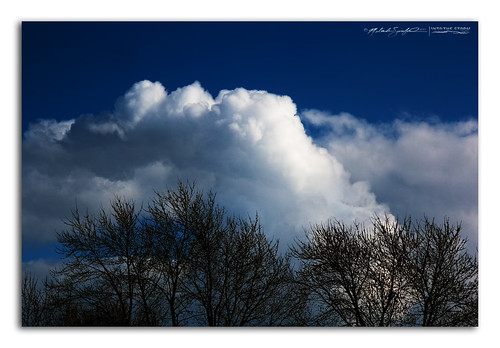 blue light sky cloud white tree weather clouds landscape geotagged illinois cumulus polarizer circularpolarizer canoneos60d