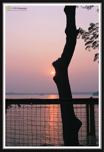 light sunset sky sun india lake black color tree art water leaves silhouette digital canon fence dark geotagged photography eos flora focus asia moments branch glow natural photos outdoor growth trunk ripples 1855mm t3 chlorophyl cs3 stillphotography 1100d