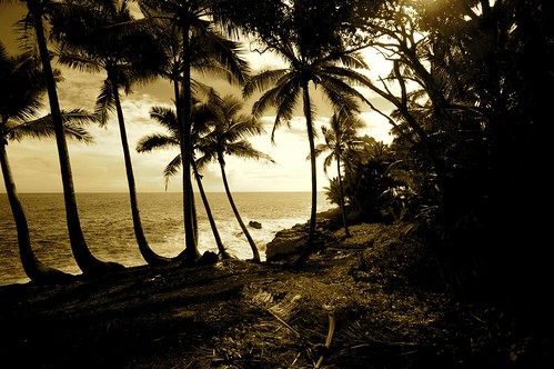 ocean sea beach hawaii palmtrees tropical bigisland aloha