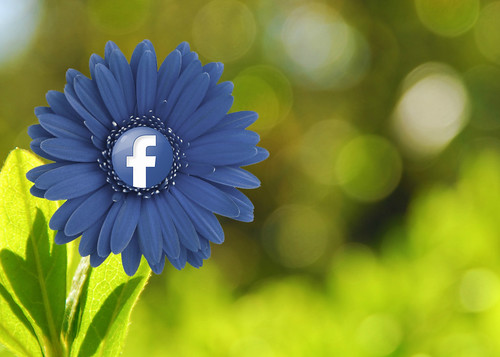 Social media marketing, Facebook Flower