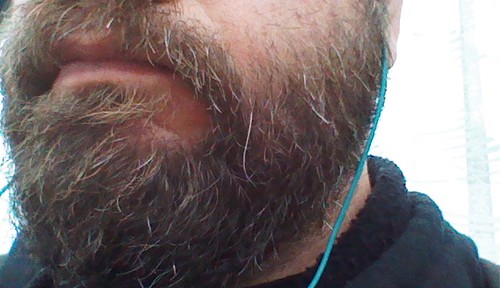 This long grey beard hair brings me luck by christopher575
