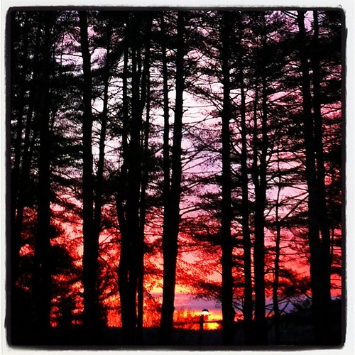 trees winter sunset square massachusetts lofi squareformat berkshires pinetrees iphoneography instagramapp uploaded:by=instagram foursquare:venue=4d2e95e26b1c2d43668814da